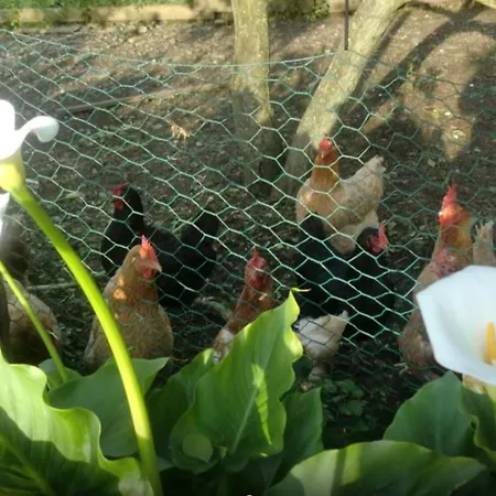 Casa Completa Vakantiehuis