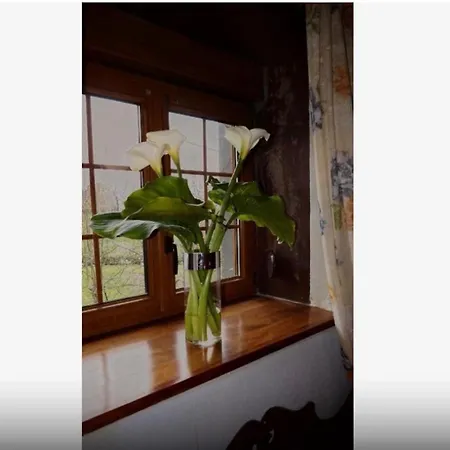 Casa Completa Vakantiehuis Deba