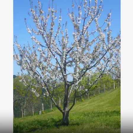 Vakantiehuis Casa Completa Deba