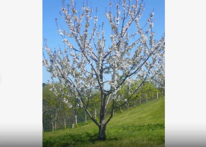 Сasa de vacaciones Casa Completa Deba